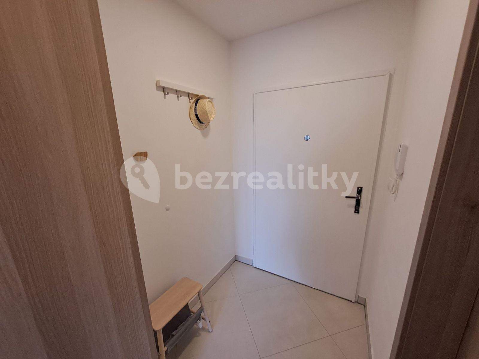 Prenájom bytu 1-izbový 30 m², Petrohradská, Praha, Praha