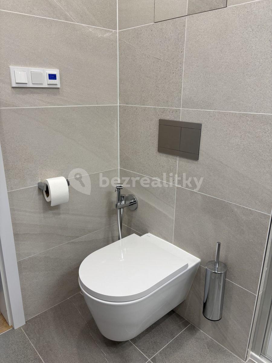 Prenájom bytu 2-izbový 41 m², Závišova, Praha, Praha