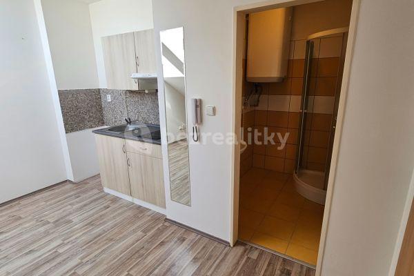 Prenájom bytu 1-izbový 19 m², Bohnická, Praha