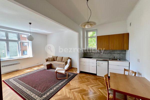 Prenájom bytu 1-izbový 45 m², Celní, Brno