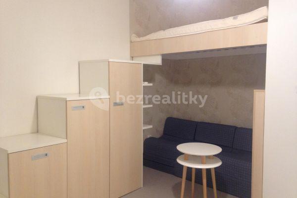 Prenájom bytu Garsoniéra 14 m², Myslíkova, Praha