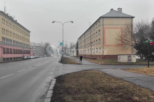 Prenájom nebytového priestoru 1 m², Havířská, 