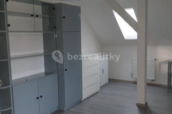 Prenájom bytu 1-izbový 60 m², Želivecká, Hlavní město Praha