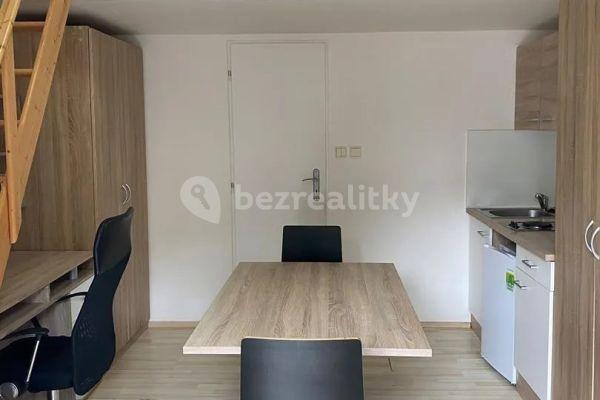 Prenájom bytu 1-izbový 18 m², Václavská, Brno