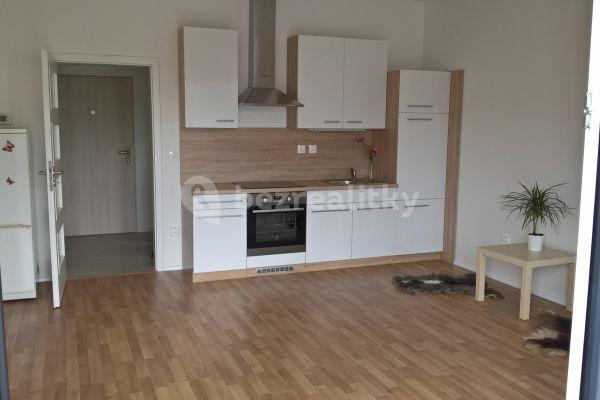 Prenájom bytu 1-izbový 34 m², Přadlácká, Brno