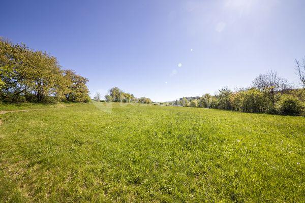 Predaj pozemku 2.322 m², Bořetice, 