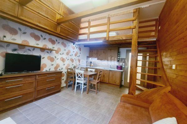 Predaj bytu 1-izbový 35 m², Černý Důl