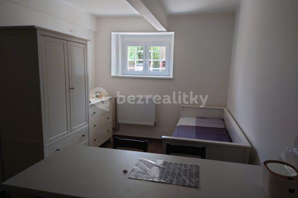 Prenájom bytu 1-izbový 20 m², V Úvalu, Praha
