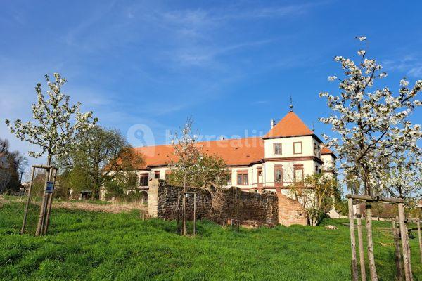 Prenájom bytu 2-izbový 45 m², Hořiněves