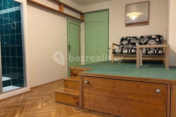 Prenájom bytu Garsoniéra 21 m², U Slavie, Hlavní město Praha