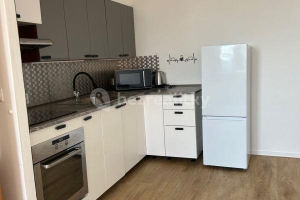 Prenájom bytu 2-izbový 44 m², Spodní, Brno