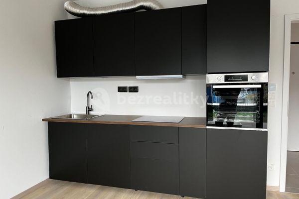 Prenájom bytu 1-izbový 35 m², Olgy Havlové, Prague