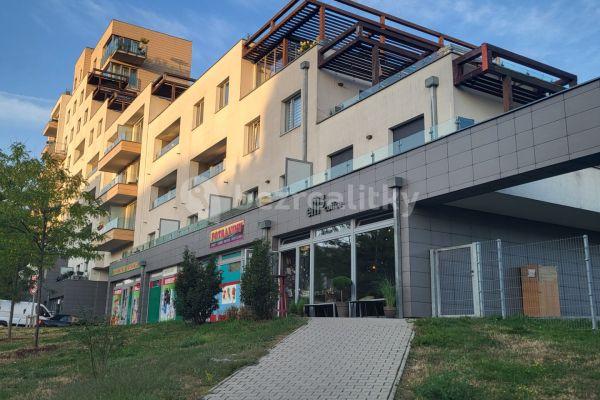 Prenájom bytu 2-izbový 51 m², Chlupáčova, Hlavní město Praha