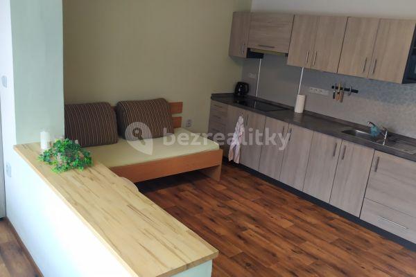 Prenájom bytu 1-izbový 32 m², Netušilova, Prostějov