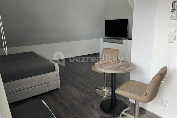 Prenájom bytu 1-izbový 45 m², U Svodnice, Praha